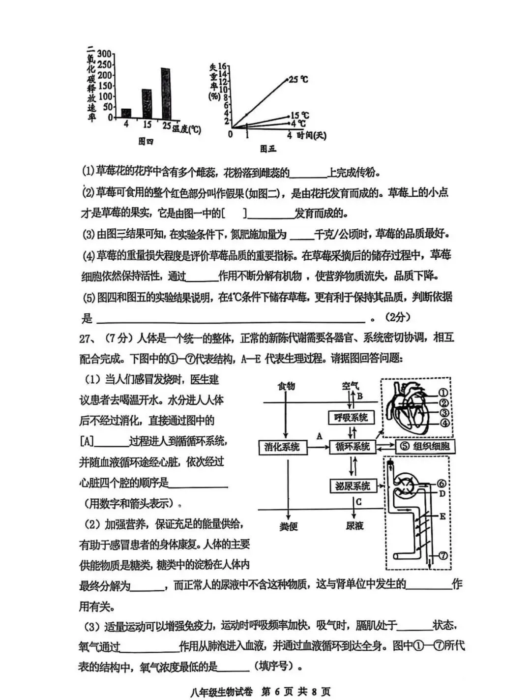 2026年中考生物模拟卷 第7张