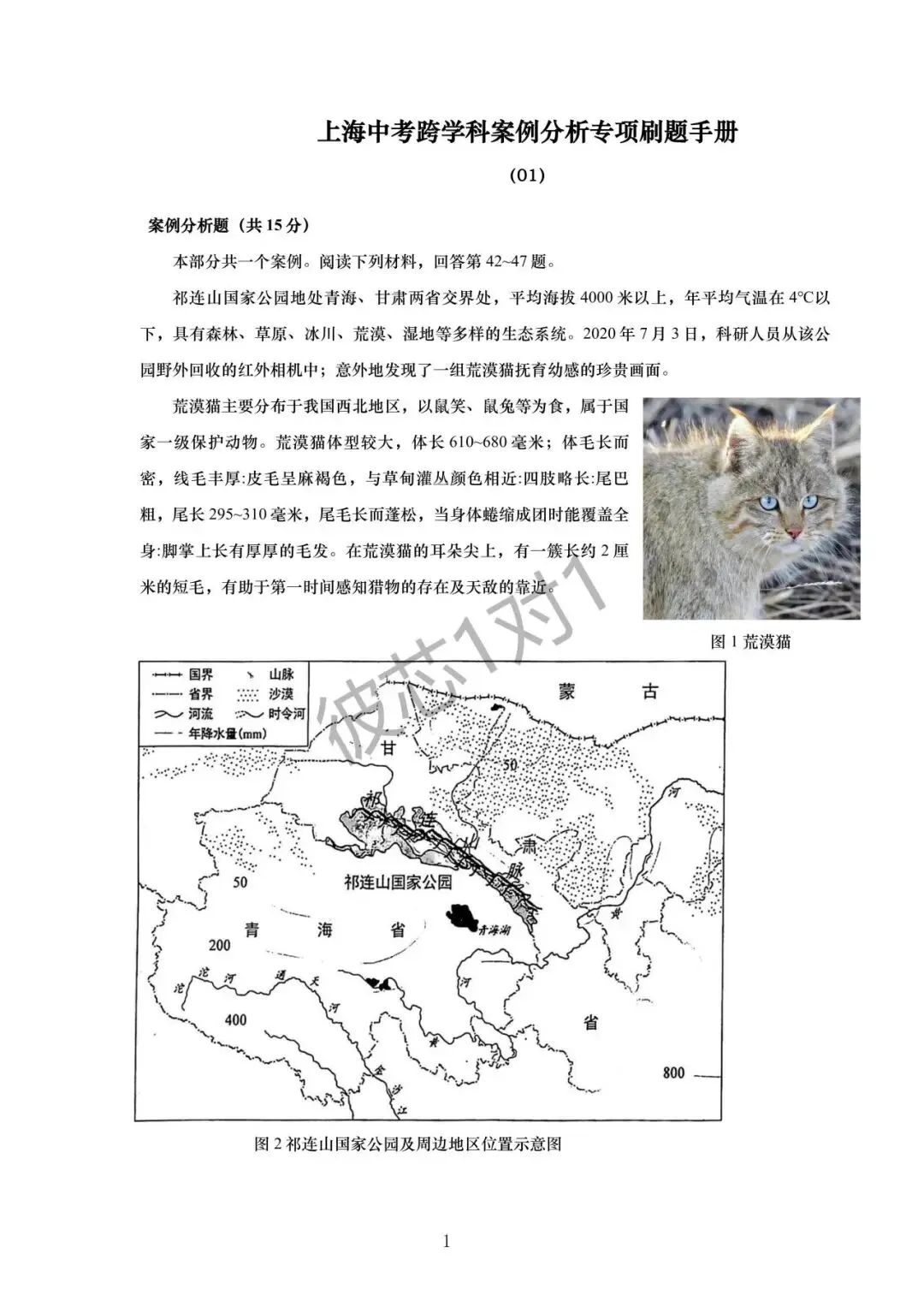 上海中考跨学科考点专练(附答案) 第3张 上海中考跨学科考点专练(附答案) 第3张