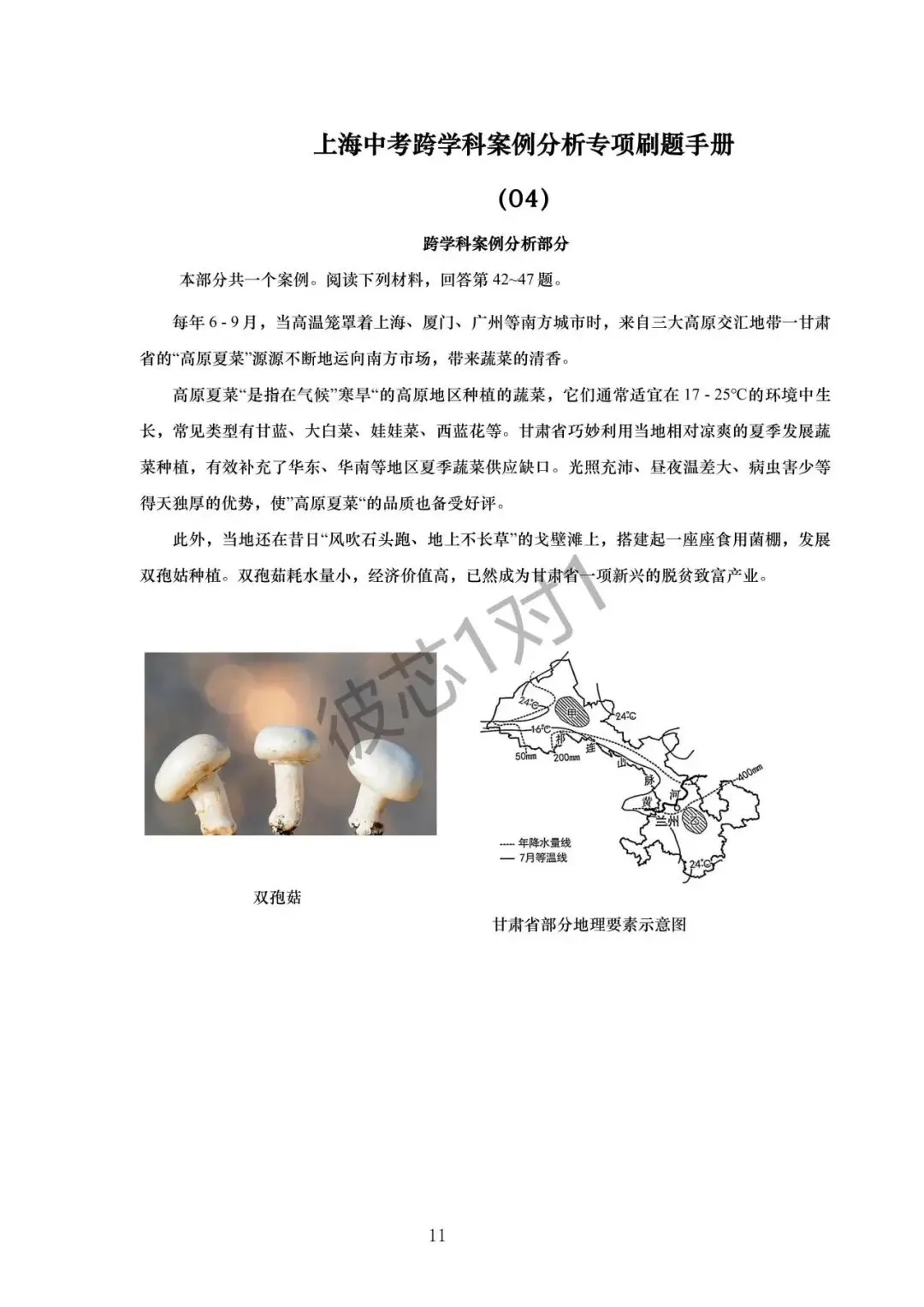 上海中考跨学科考点专练(附答案) 第13张 上海中考跨学科考点专练(附答案) 第13张