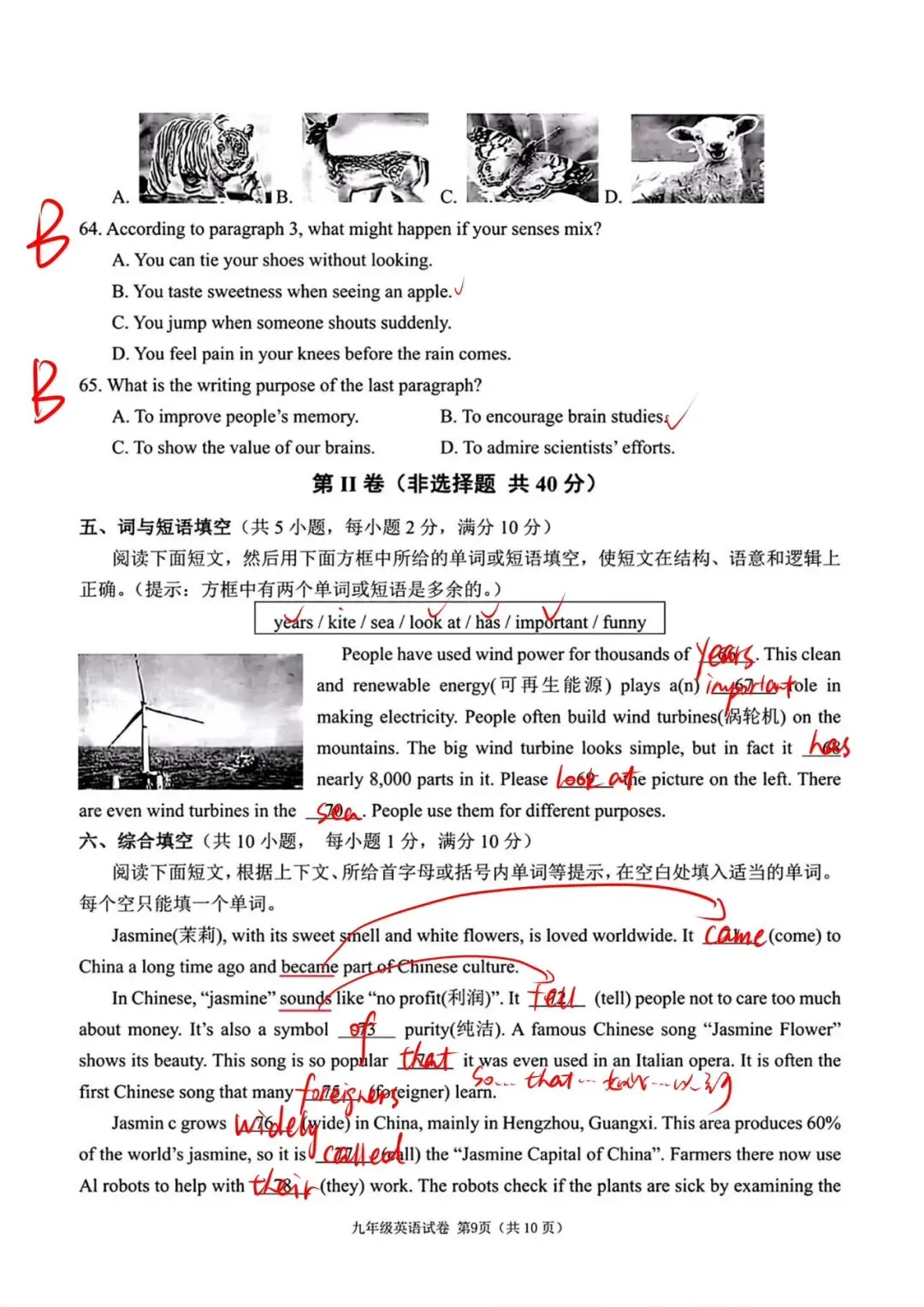 2025武汉中考英语答案 第7张