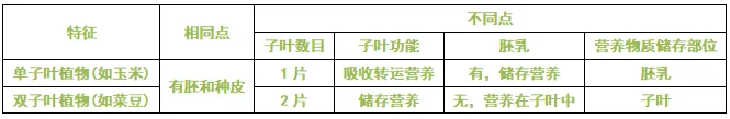 生物小中考|藻类与植物类群:从水生到陆生 第2张