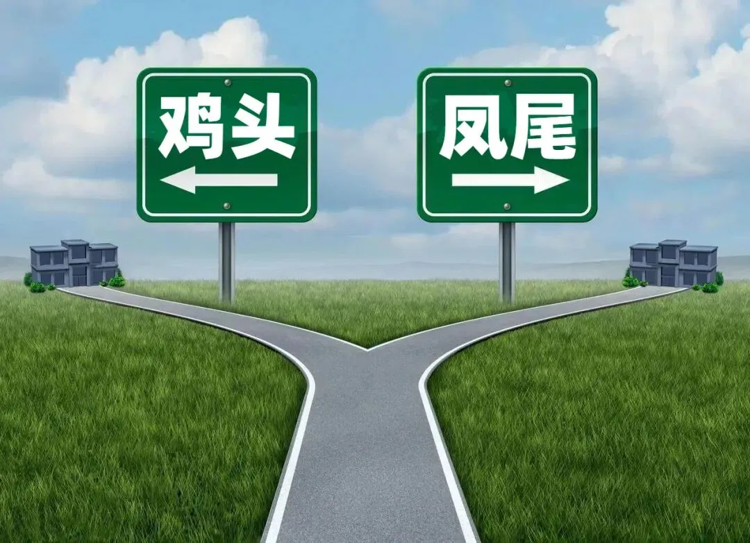 中考择校指南:让孩子做“鸡头”还是“凤尾”?别让焦虑毁掉孩子未来! 第1张