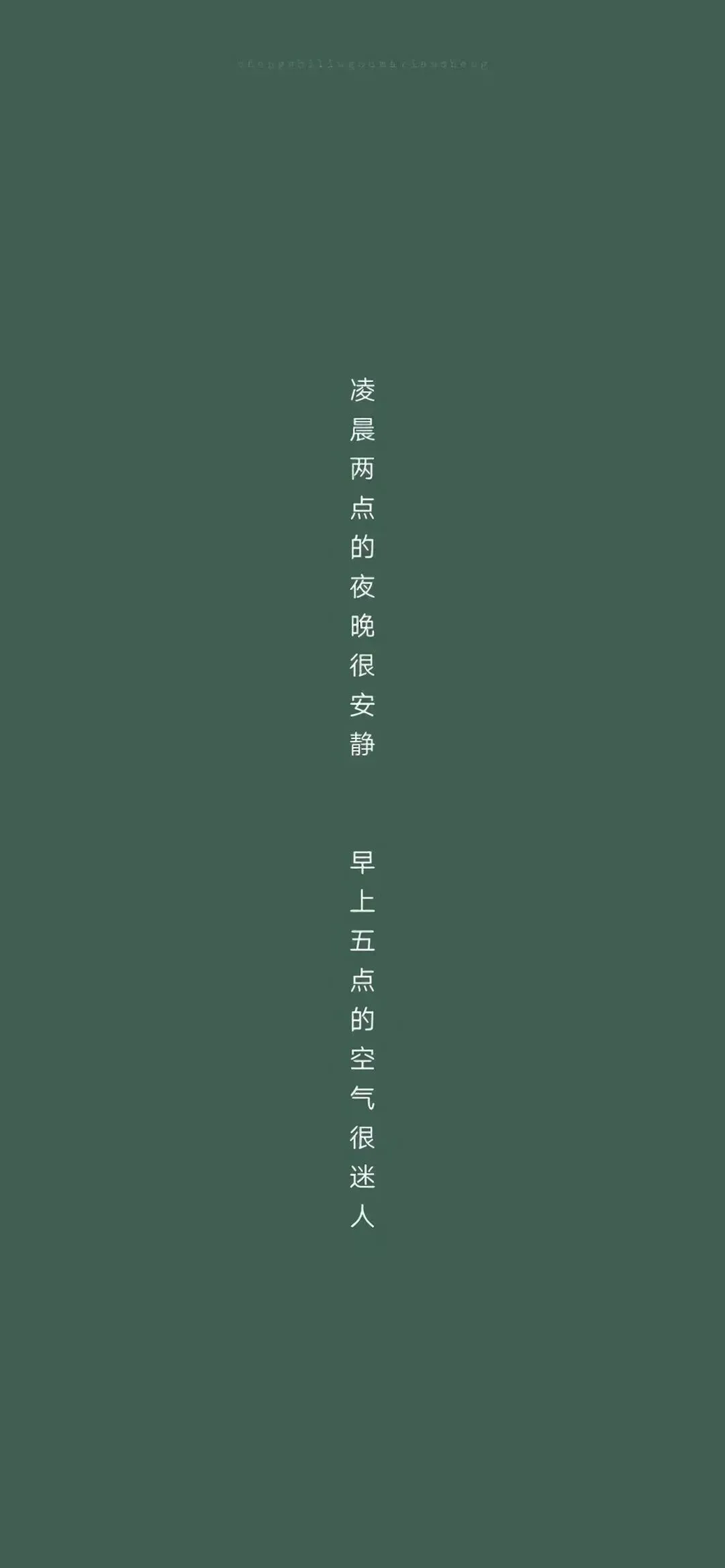 新年换新壁纸,下一站,中考上岸! 第46张 新年换新壁纸,下一站,中考上岸! 第46张