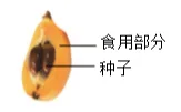 2025中考真题甘肃省试题电子版试卷含答案解析(全科目) 第6张