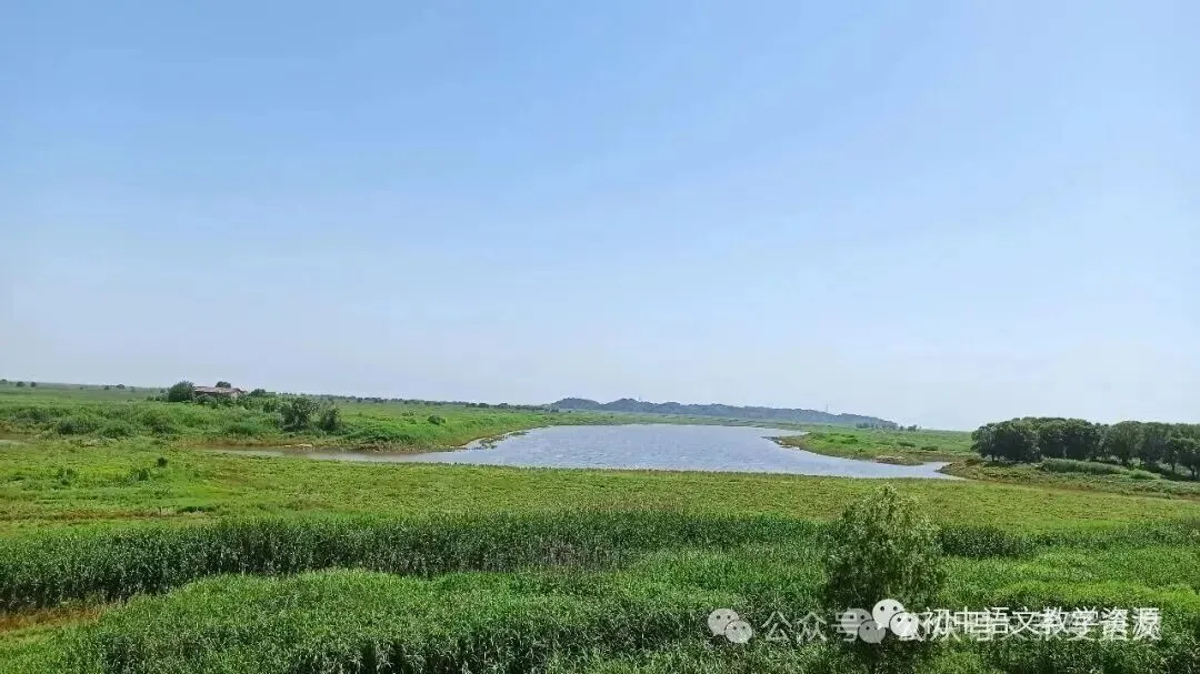 中考专题:语病典型题目及解析(30题) 第4张