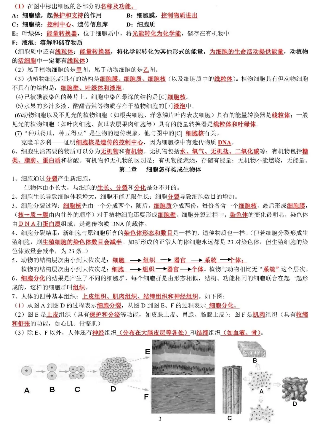 中考生物复习专题 第3张