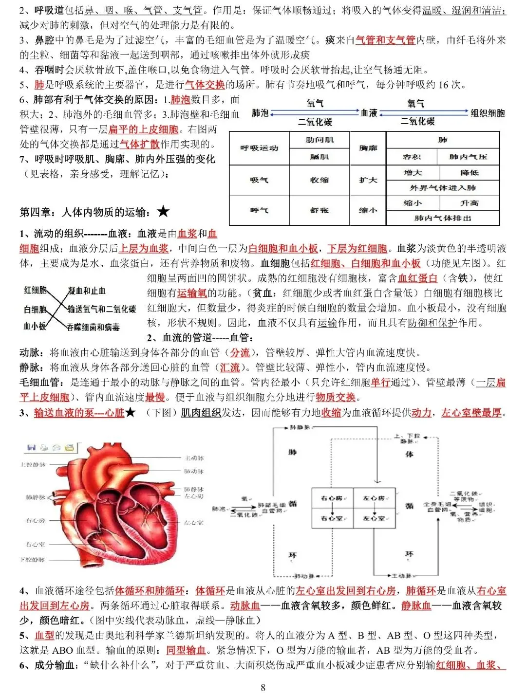 中考生物复习专题 第8张