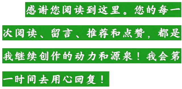 2026年河北中考模拟试题 英语-第15张图片-四季读书网