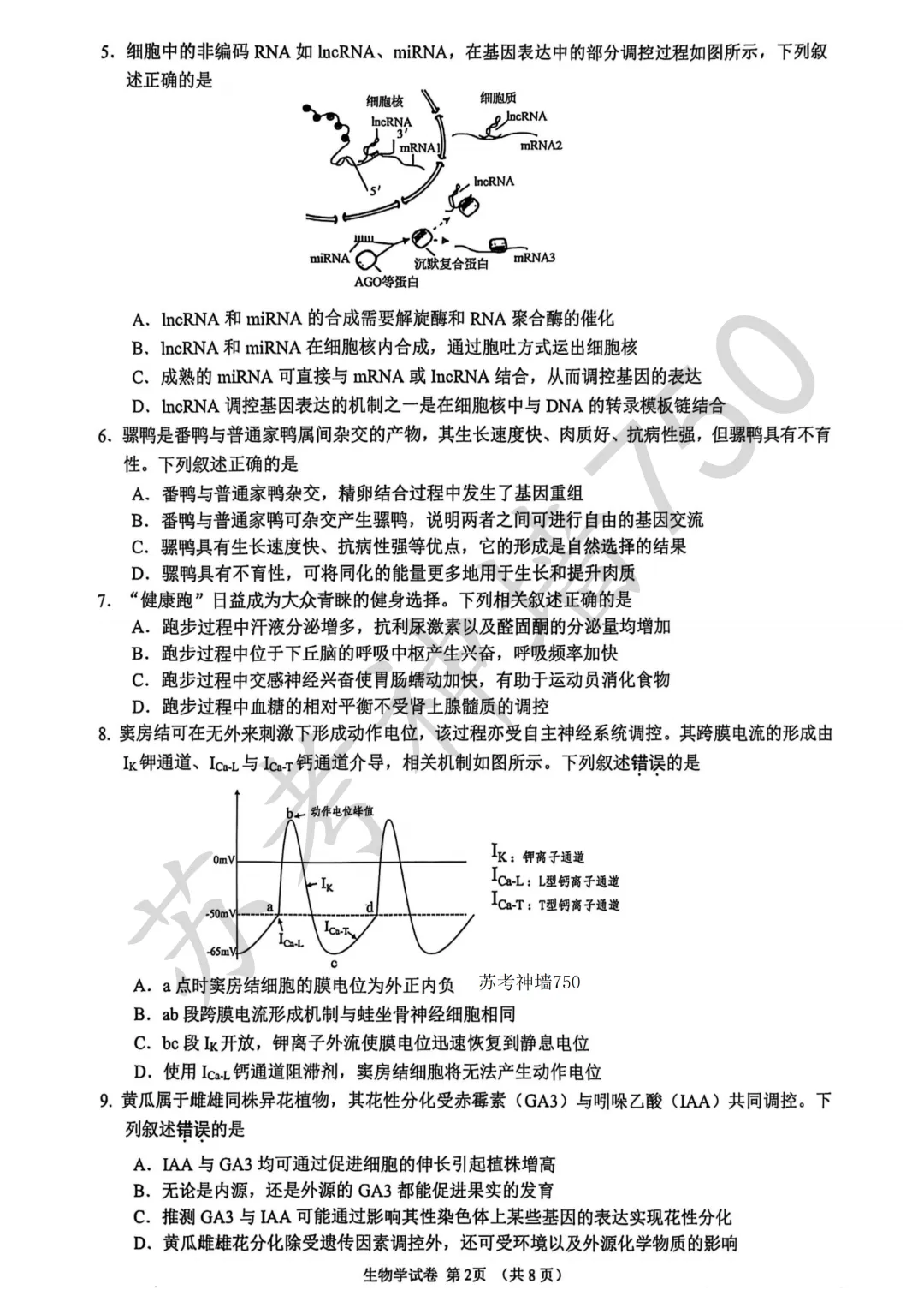 九科全!镇江市2026届高三上期中考试题答案汇总 第47张 九科全!镇江市2026届高三上期中考试题答案汇总 第47张
