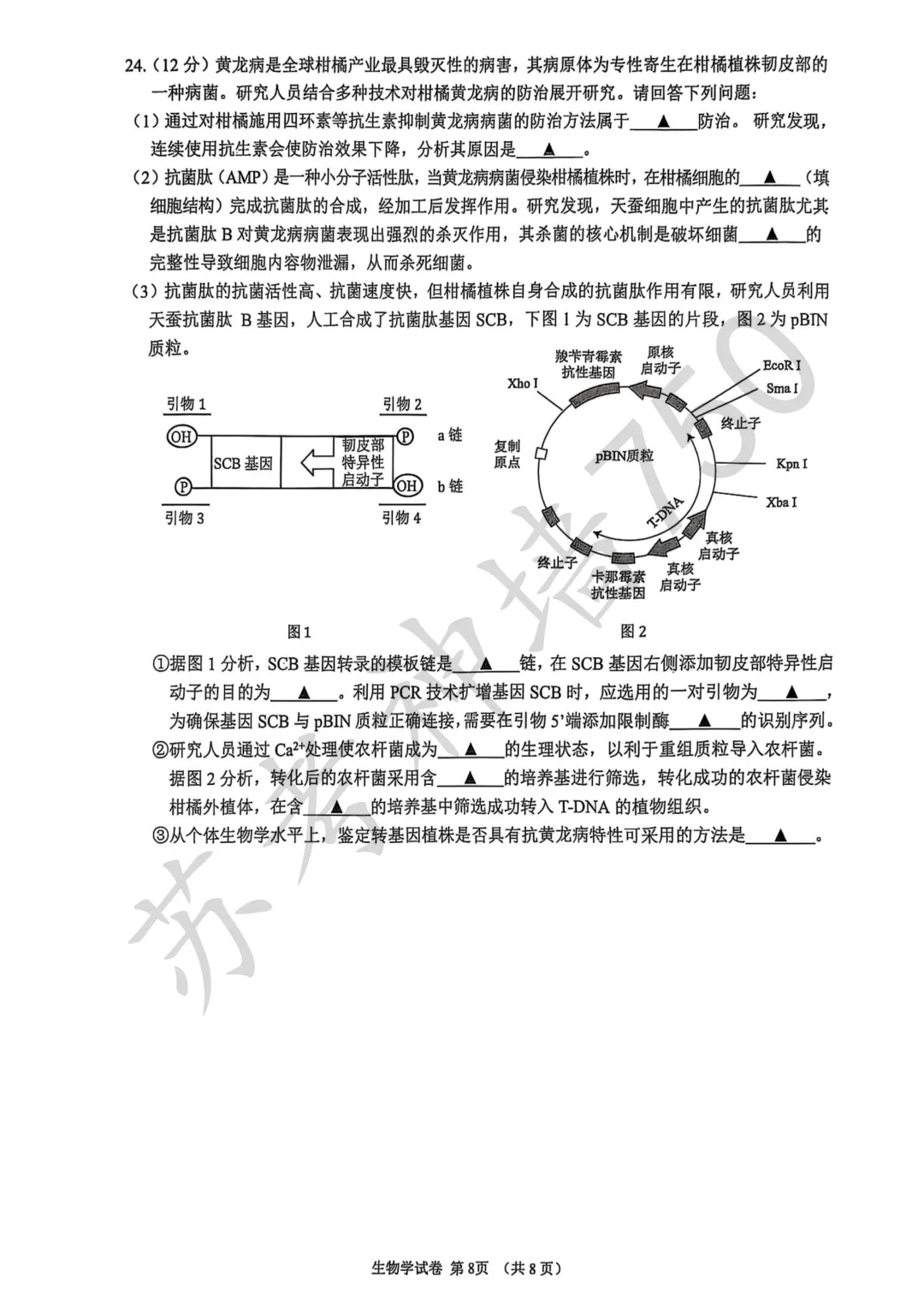 九科全!镇江市2026届高三上期中考试题答案汇总 第53张 九科全!镇江市2026届高三上期中考试题答案汇总 第53张