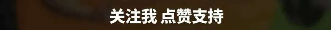 体育中考备考指南(家长科学陪伴版)从初一到初三,稳步提升,健康满分 第1张