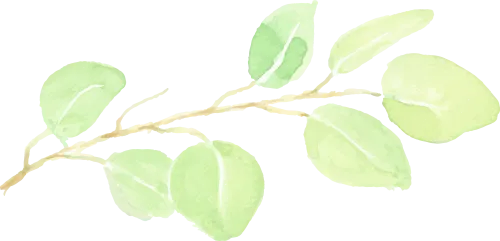 【中考复习】第七章第2节视图与投影 第3张 【中考复习】第七章第2节视图与投影 第3张