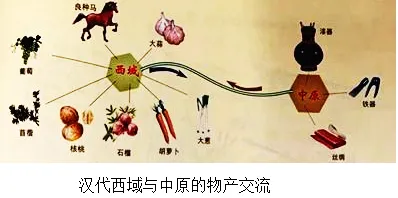 2025年黑龙江省龙东地区中考历史真题 第8张 2025年黑龙江省龙东地区中考历史真题 第8张