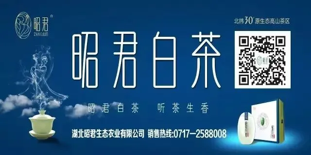 中考进行时...... 第9张