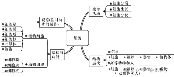 【中考复习】生物专题知识点①:构成生物体的细胞、组织、器官和系统 第4张 【中考复习】生物专题知识点①:构成生物体的细胞、组织、器官和系统 第4张