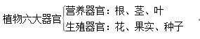 【中考复习】生物专题知识点①:构成生物体的细胞、组织、器官和系统 第8张 【中考复习】生物专题知识点①:构成生物体的细胞、组织、器官和系统 第8张