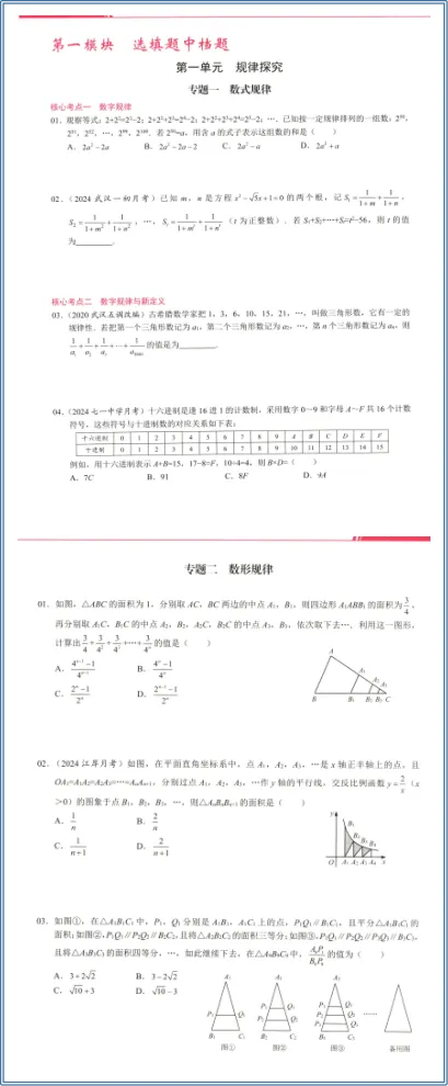 初中数学《核心考点•中考数学专题复习》2025版 第3张