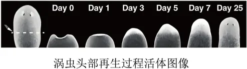 2025年浙江省中考语文真题 第6张