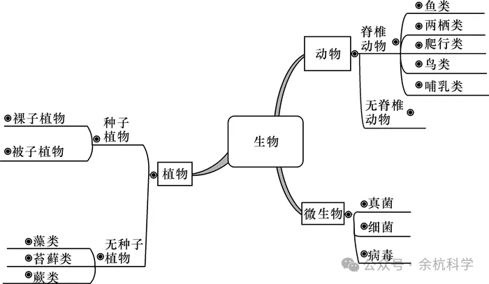 【中考复习】生物专题知识点②:多种多样的生物-第7张图片-四季读书网