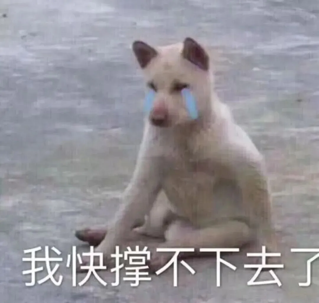 中考成绩真的会比平常高很多吗? 第6张