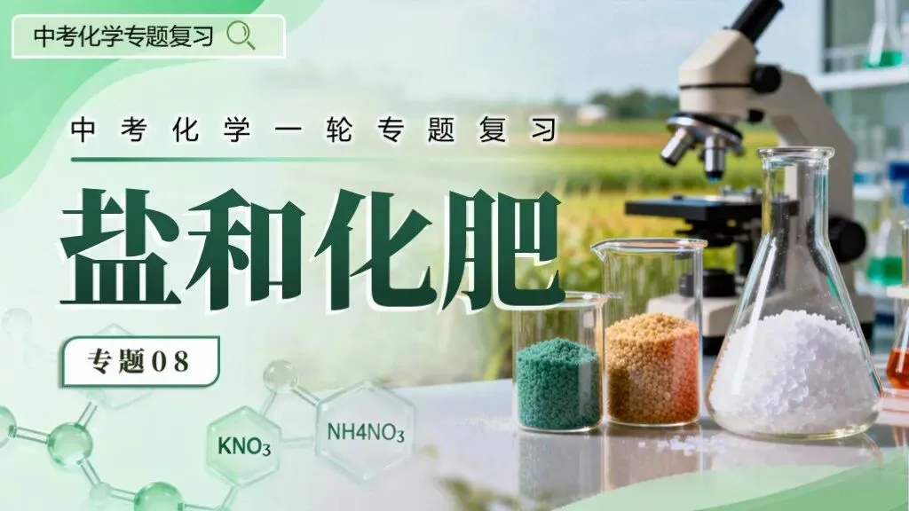 中考化学专题复习 | 专题八《盐和化肥》课件+配套教学设计 第8张 中考化学专题复习 | 专题八《盐和化肥》课件+配套教学设计 第8张