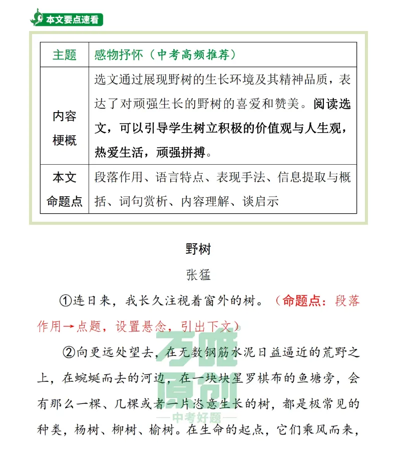 万唯中考(陕西教辅)︱《野树》 第4张