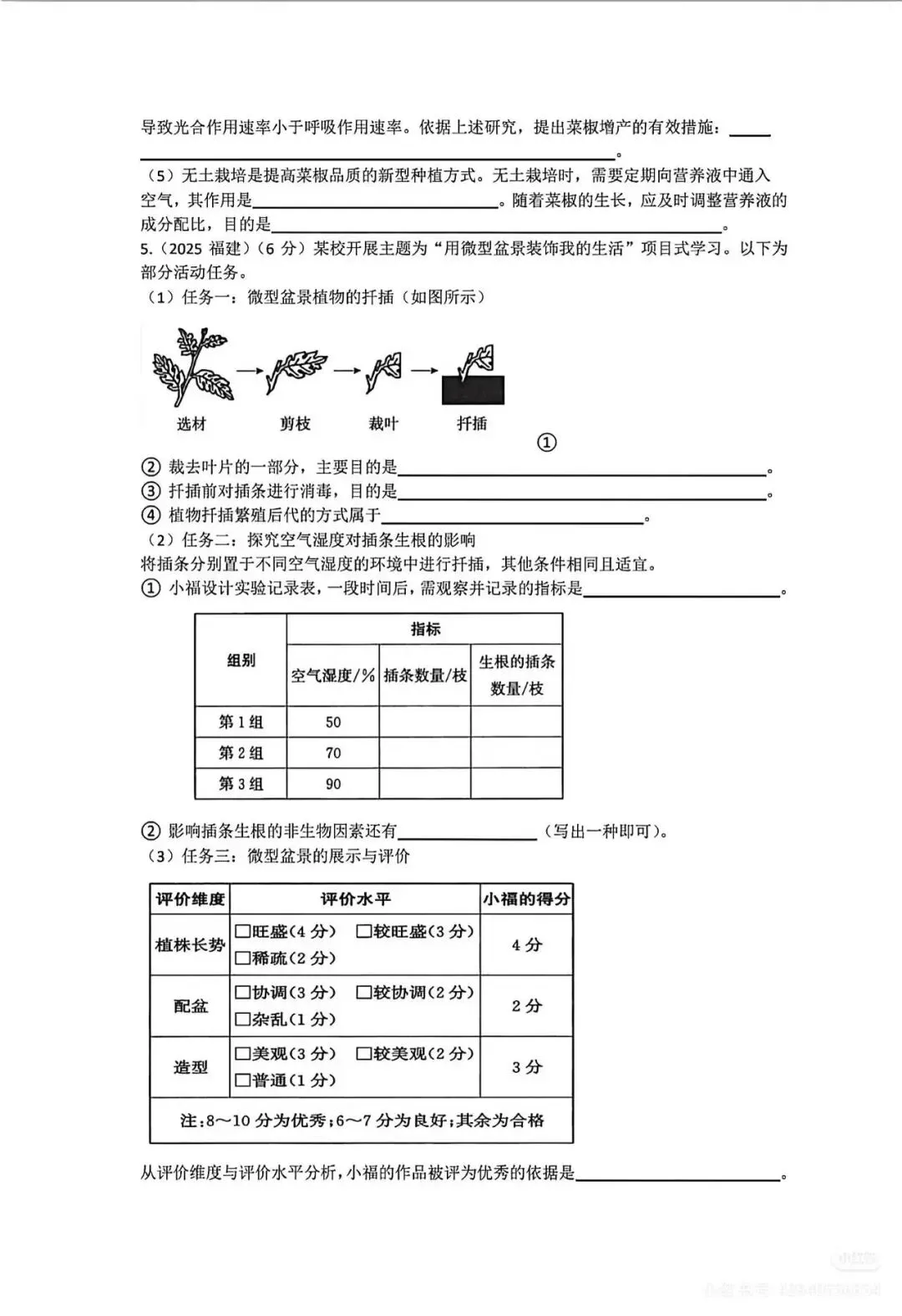 中考复习专题1-植物的生活检测题附答案 第5张