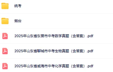 【迎战2026中考】山东中考卷扫描版-高清无水印可直接打印【完整打包版】免费! 第3张