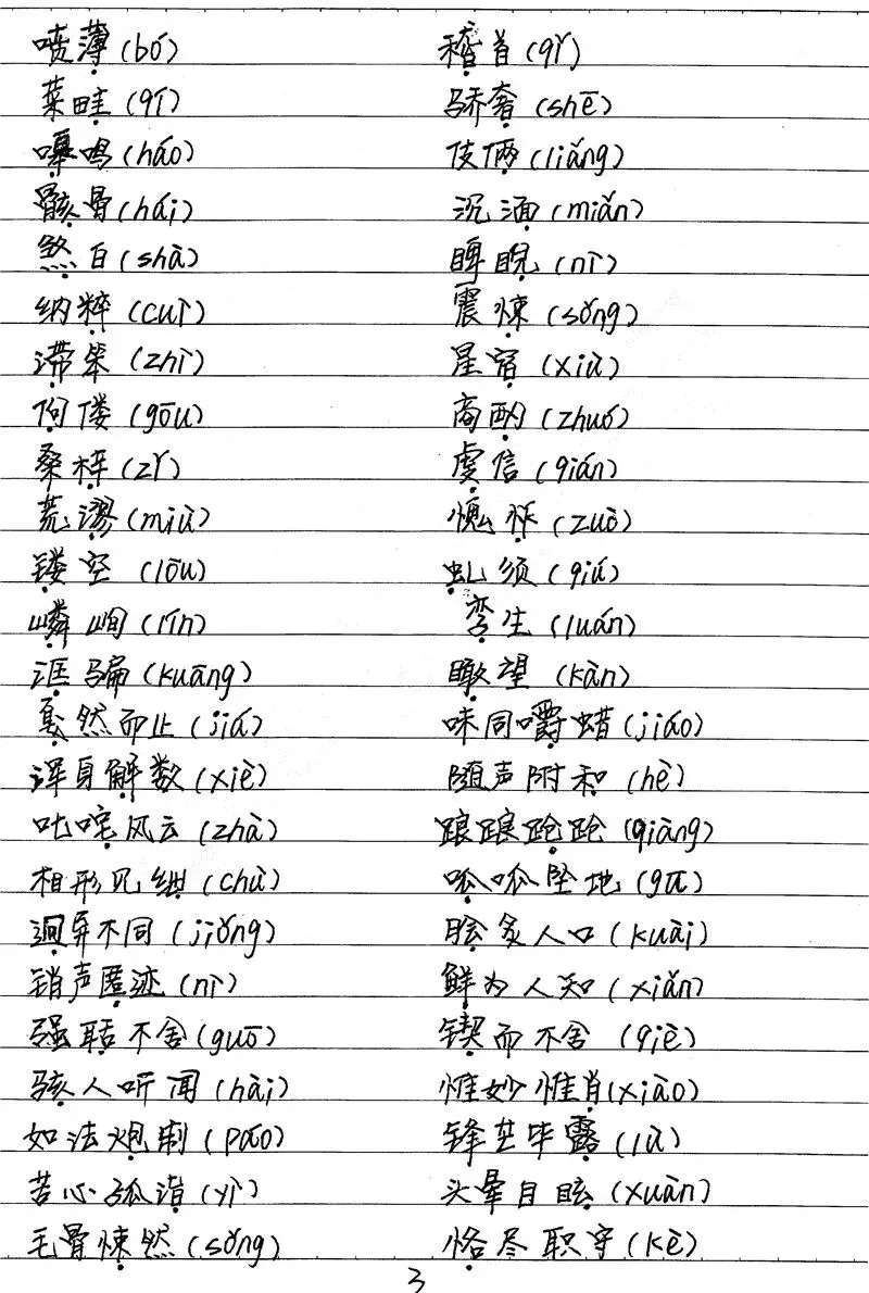 500多页中考状元高清手写笔记曝光,老师都抢着拿去打印... 第35张