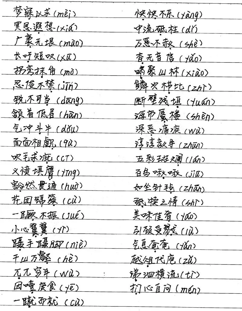 500多页中考状元高清手写笔记曝光,老师都抢着拿去打印... 第36张