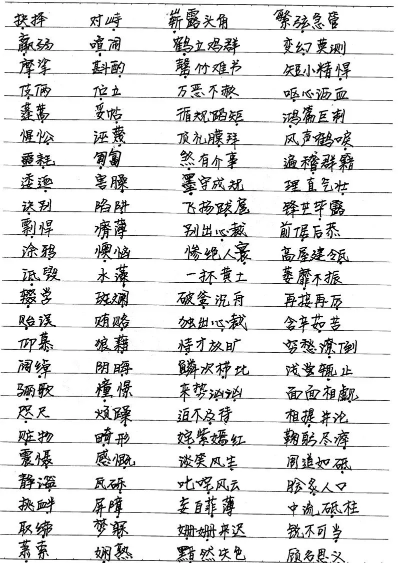 500多页中考状元高清手写笔记曝光,老师都抢着拿去打印... 第38张