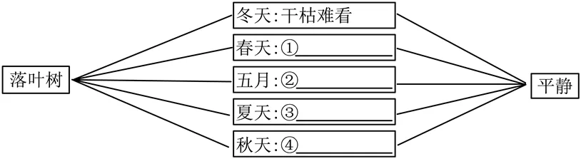 中考复习——开头的作用 专题练习2025 第1张