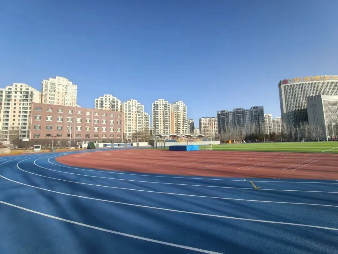 中考语文语言文字的积累与梳理任务群复习策略 第4张