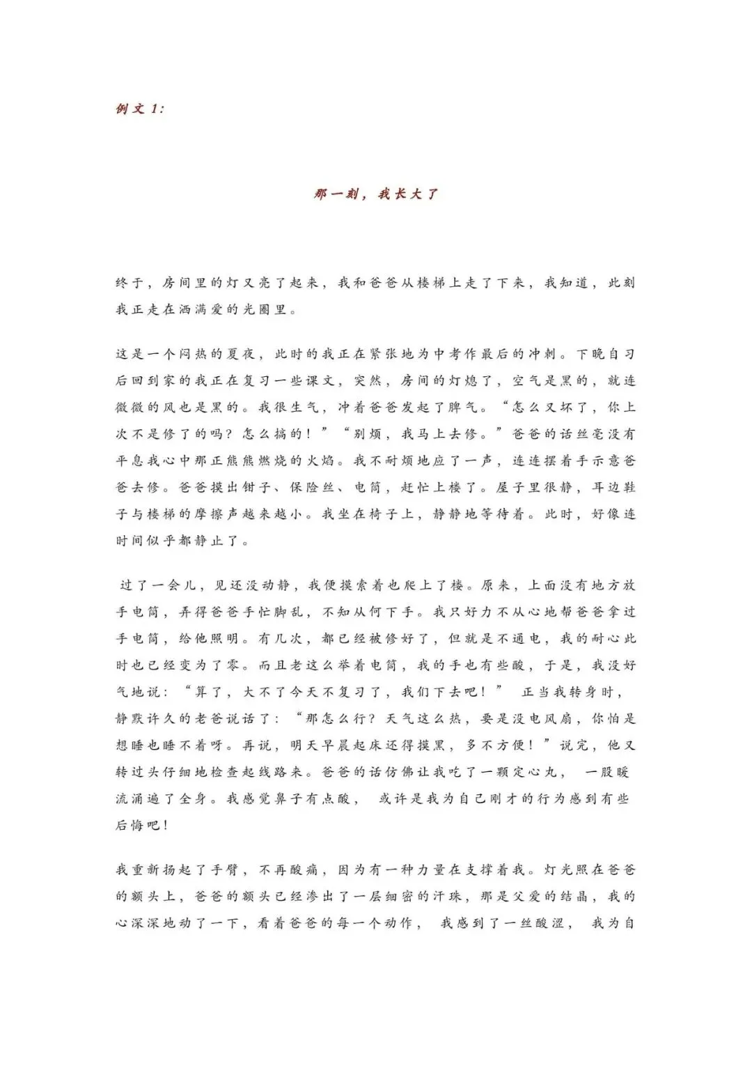 初中语文 | 中考语文押题作文:【成长类】作文(范文5篇,可打印) 第2张
