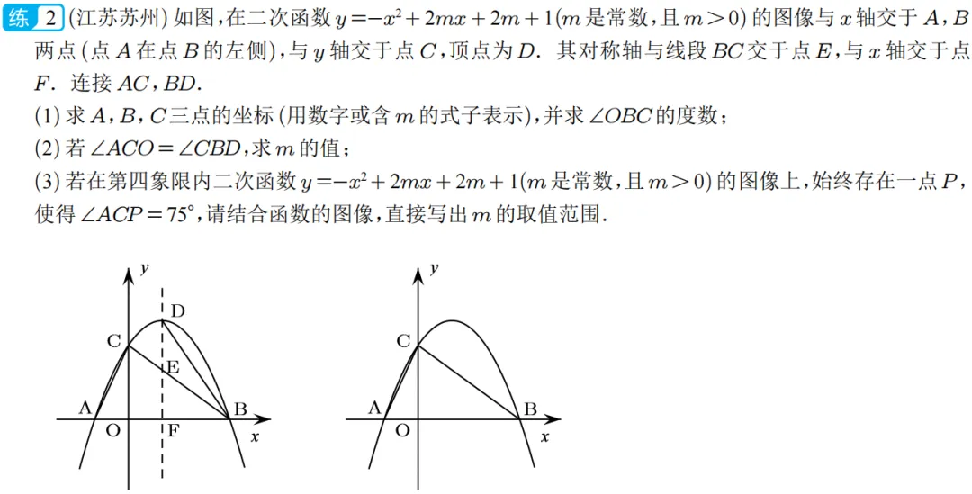 2026年中考数学二次函数压轴题|二次函数与角度问题 第8张