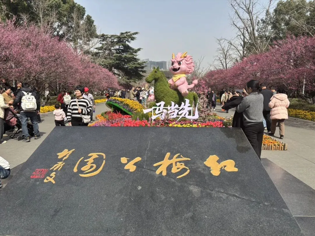 女儿中考倒计时116天—天宁寺祈福 第6张
