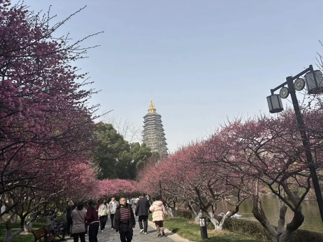 女儿中考倒计时116天—天宁寺祈福 第7张