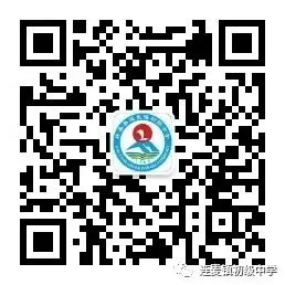 新春聚力启新程 同心筑梦赢中考——连麦中学召开2026届九年级新春家长会 第47张