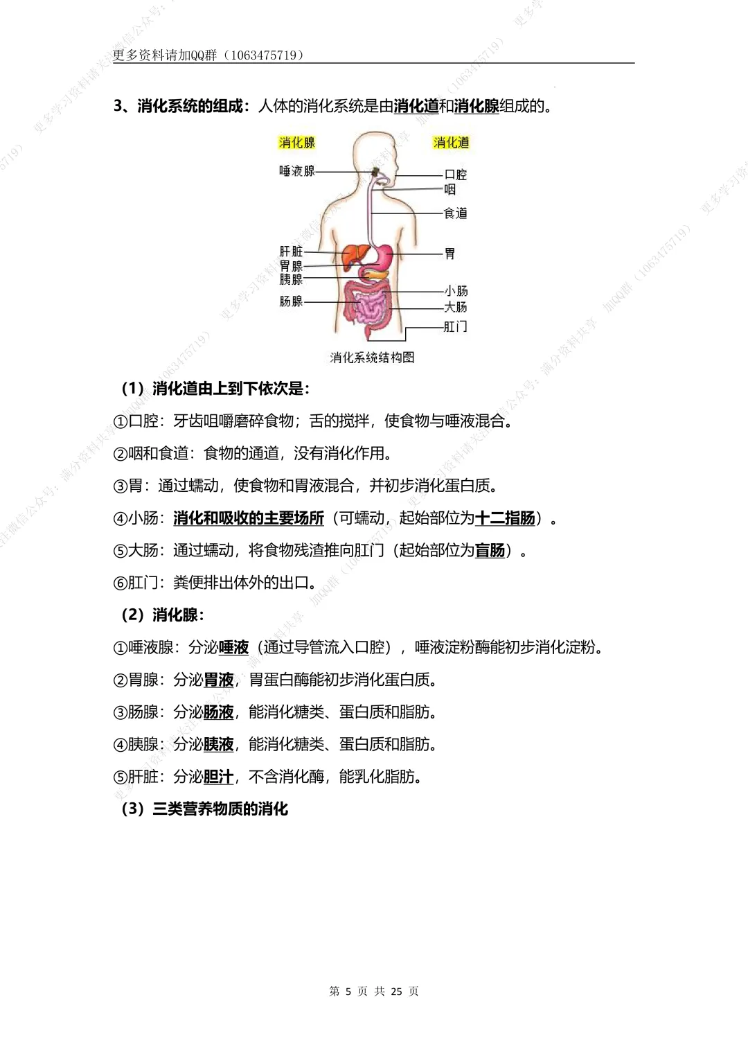 【初中生物】七下-备战2026年中考生物核心考点必背知识清单,电子版可打印 第6张