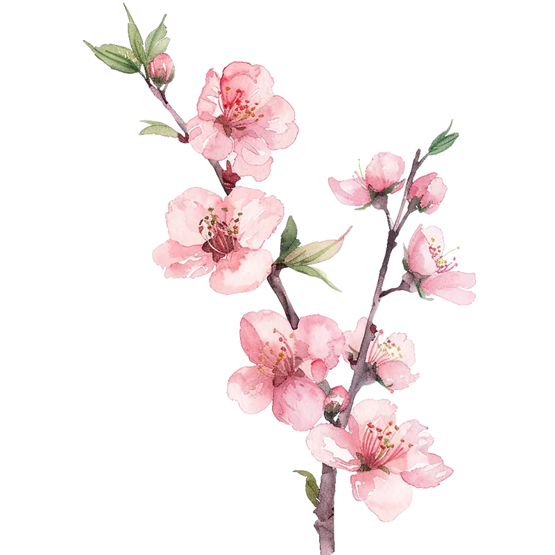 一眼惊艳,满屏考点——盘点《贺花神》中考高考涉及到的考点(上) 第52张 一眼惊艳,满屏考点——盘点《贺花神》中考高考涉及到的考点(上) 第52张
