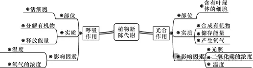 【中考复习】生物专题知识点④: 绿色植物的物质和能量转换-第5张图片-四季读书网