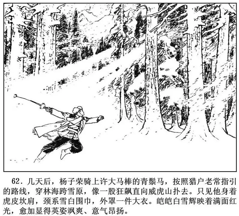 中考名著导读葵花宝典|《林海雪原》精彩章节故事情节 第16张