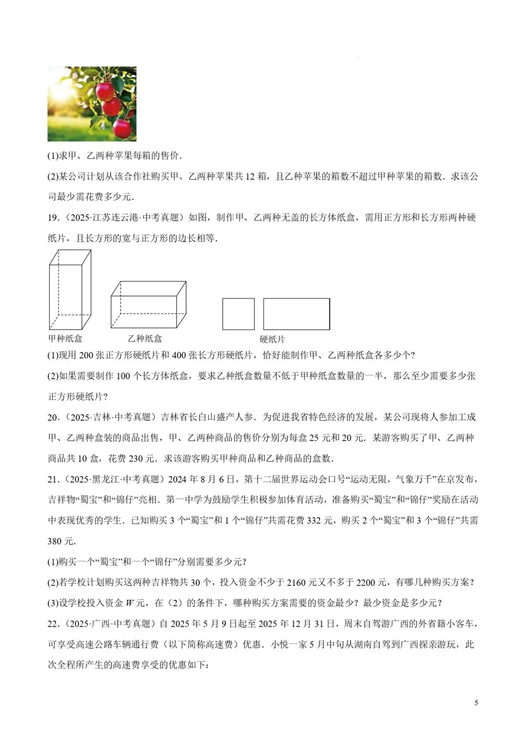 中考数学专题06二元一次方程组 第5张