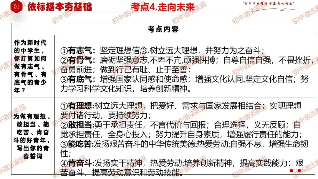 2026年中考道德与法治一轮复习高效培优 专题27 走向未来的少年(九下) 第16张