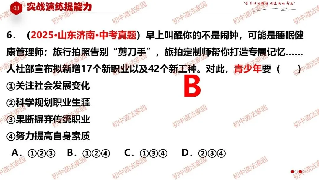 2026年中考道德与法治一轮复习高效培优 专题27 走向未来的少年(九下) 第33张