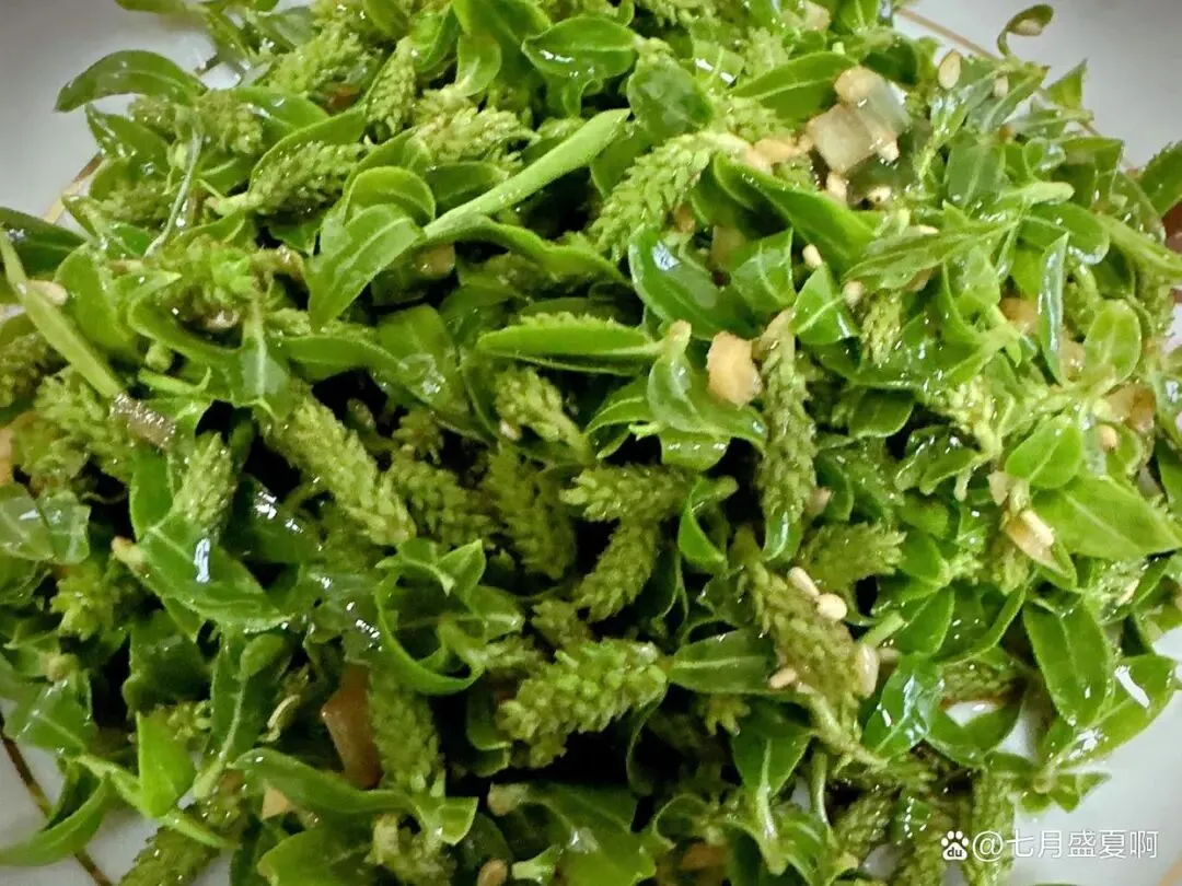 【中考阅读指导】柳芽茶(杨丽琴) 第3张