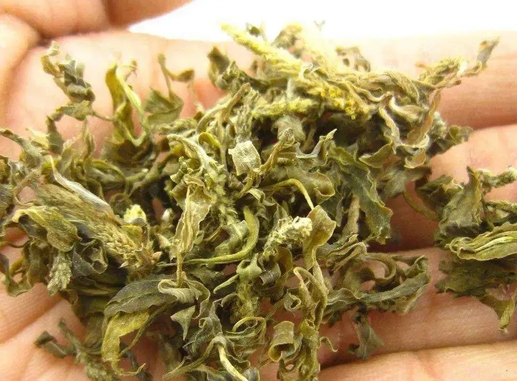 【中考阅读指导】柳芽茶(杨丽琴) 第5张