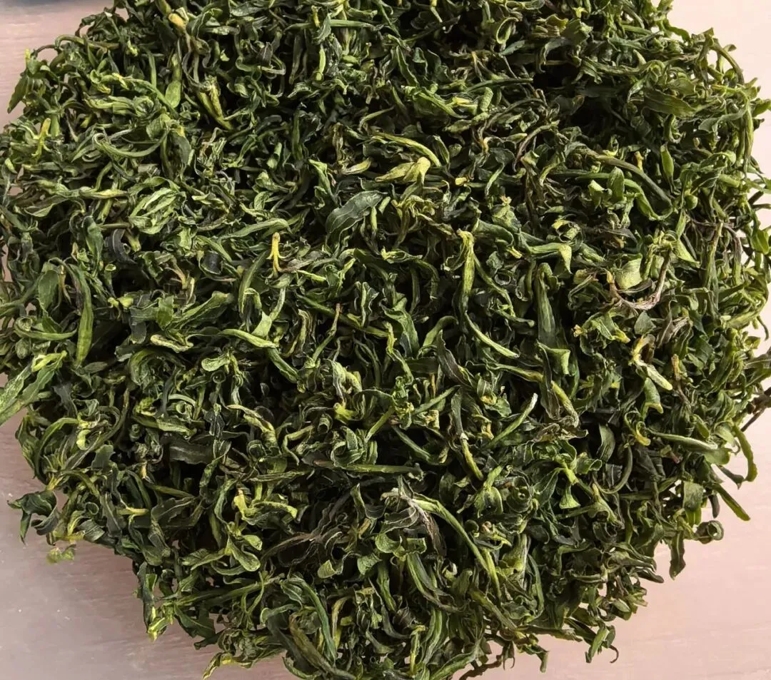【中考阅读指导】柳芽茶(杨丽琴) 第8张