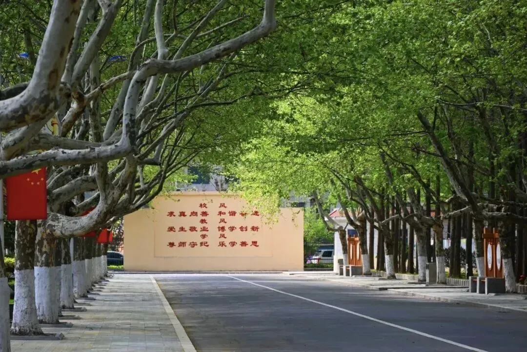 宿豫实验中学介绍分析/历届中考成绩/班级设定/拔尖创新班设置等等 第17张