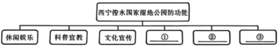 2025年青海省西宁市中考语文真题 第3张